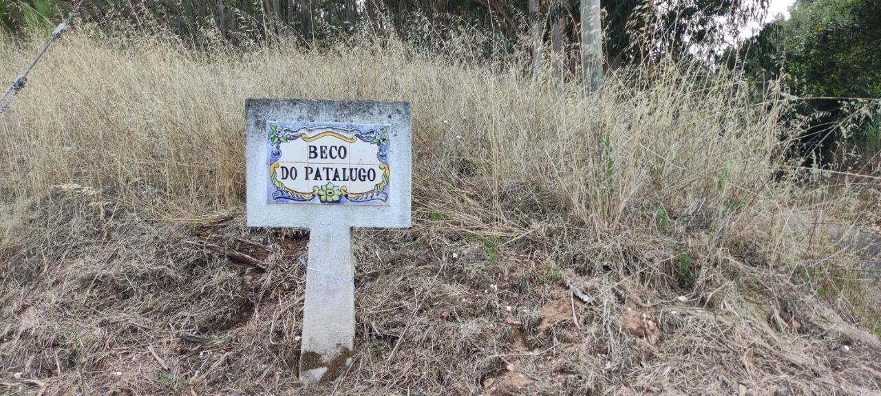Beco Do Patalugo Lejlighed Salir de Matos Eksteriør billede